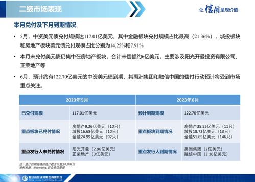 中資美元債市場信息月報（2023年5月） 一級市場發行繼續低迷，二級市場表現保持分化
